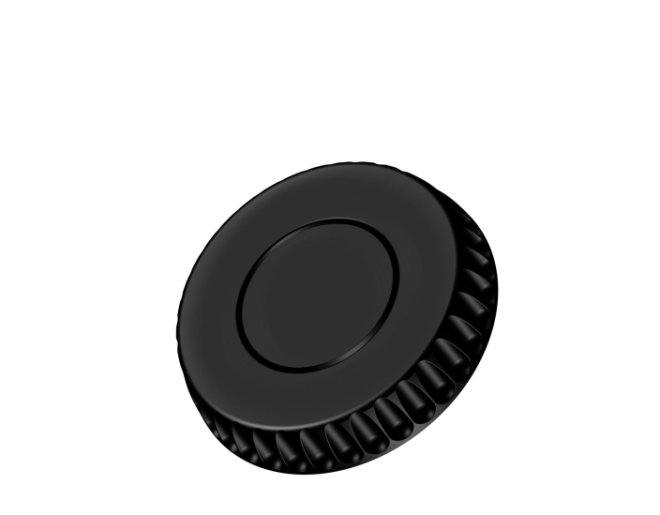 valve plug